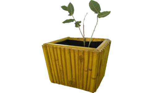 Bamboo Planters