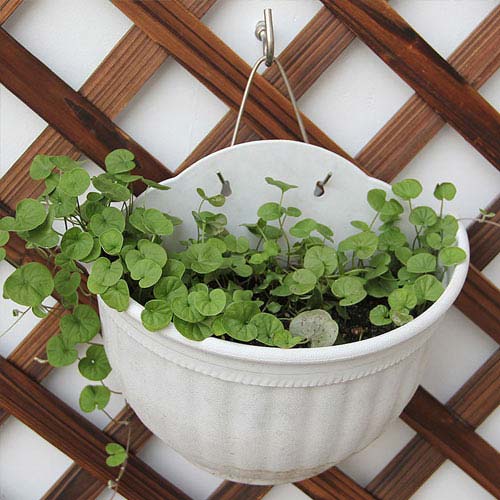 Basket Garden Planters