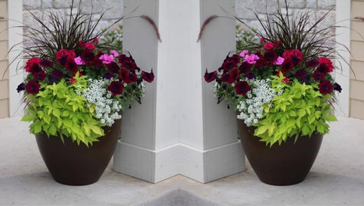 Fiberglass Carve Flower Planters