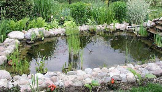 Garden Ponds