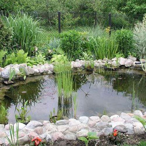 Garden Ponds