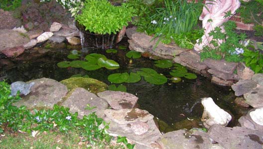 Garden Ponds